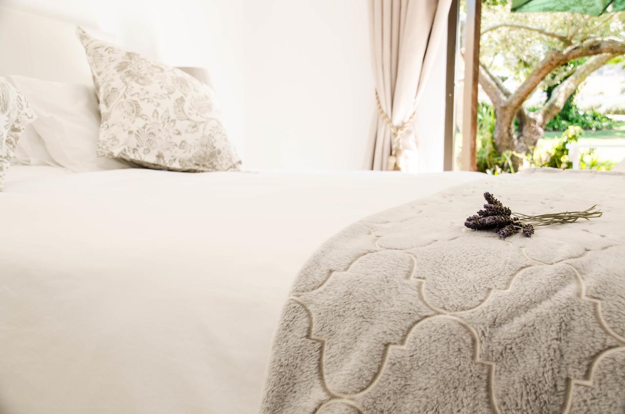 Vila Lavinia Lifestyle Stellenbosch Exteriér fotografie