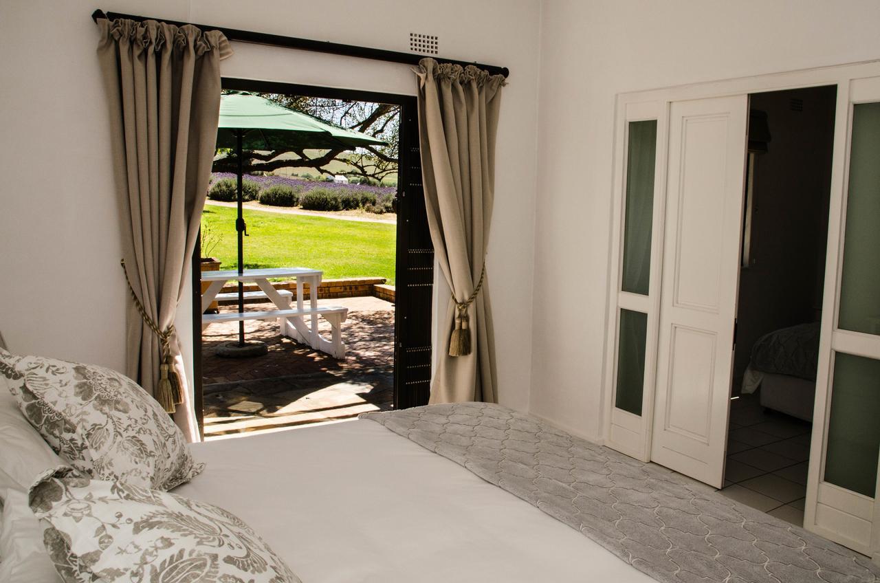 Vila Lavinia Lifestyle Stellenbosch Exteriér fotografie