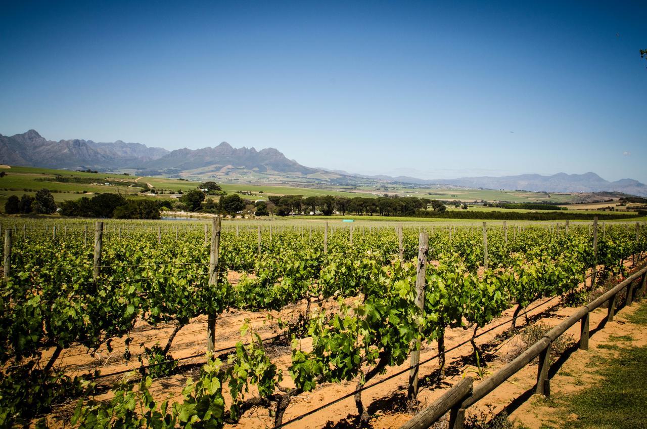 Vila Lavinia Lifestyle Stellenbosch Exteriér fotografie
