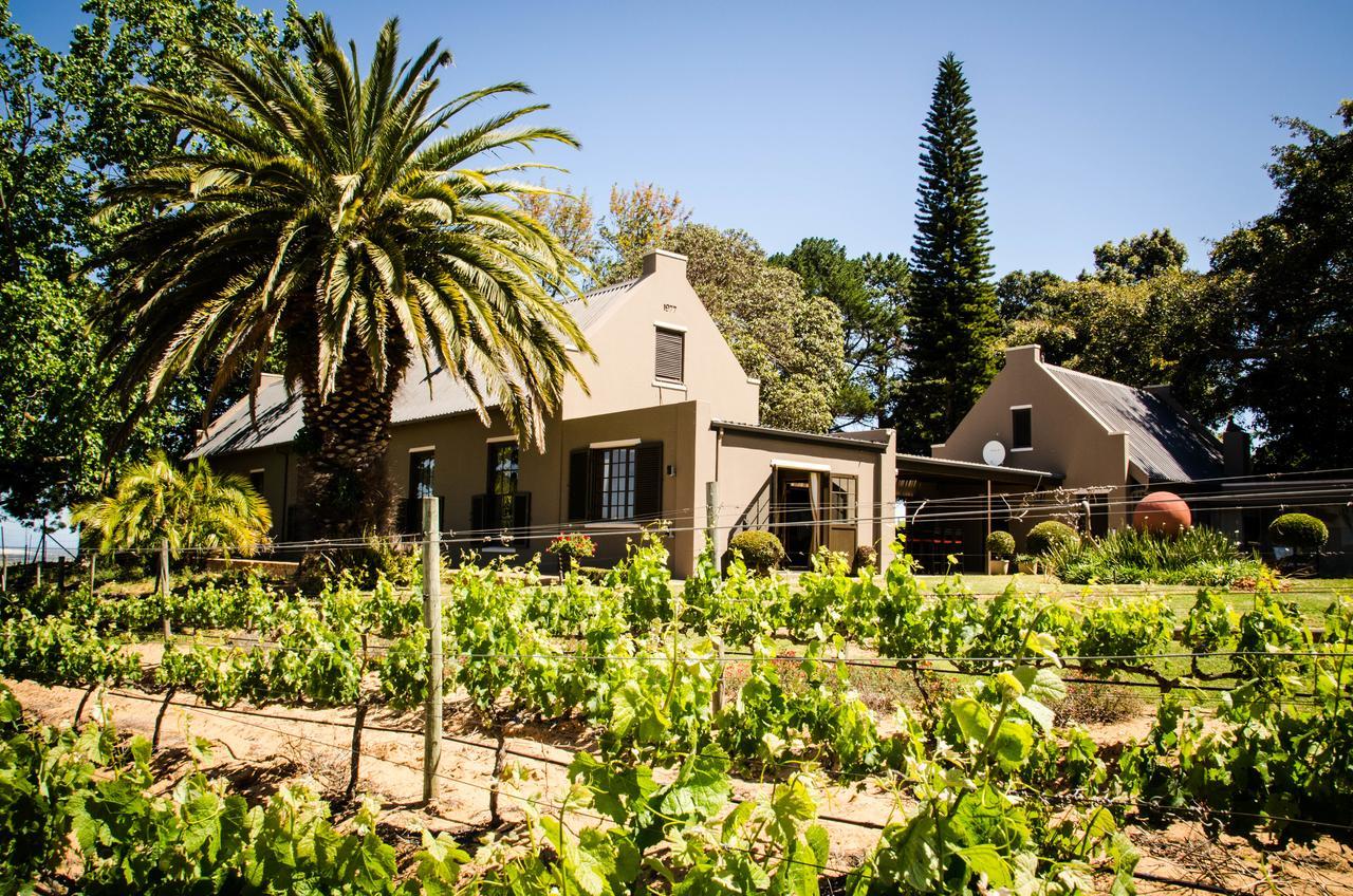 Vila Lavinia Lifestyle Stellenbosch Exteriér fotografie