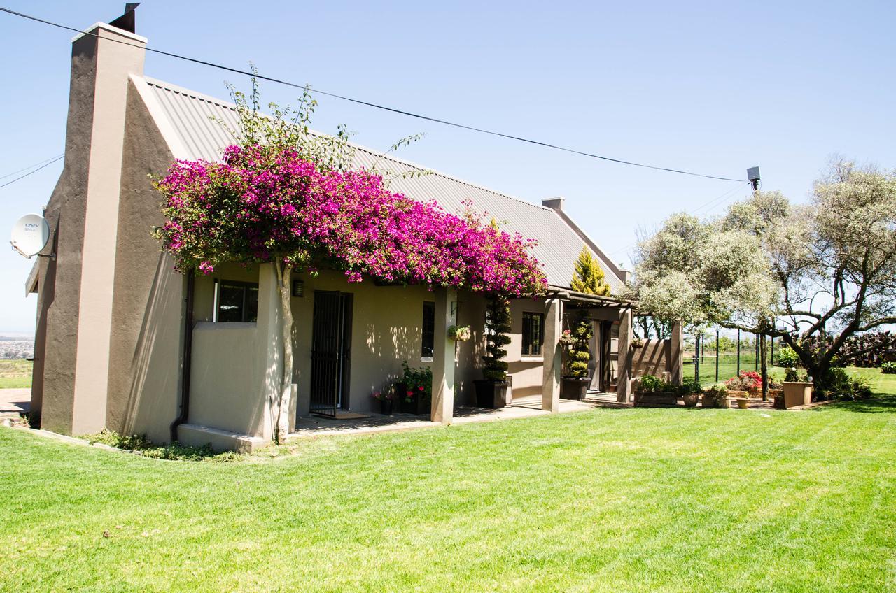 Vila Lavinia Lifestyle Stellenbosch Exteriér fotografie