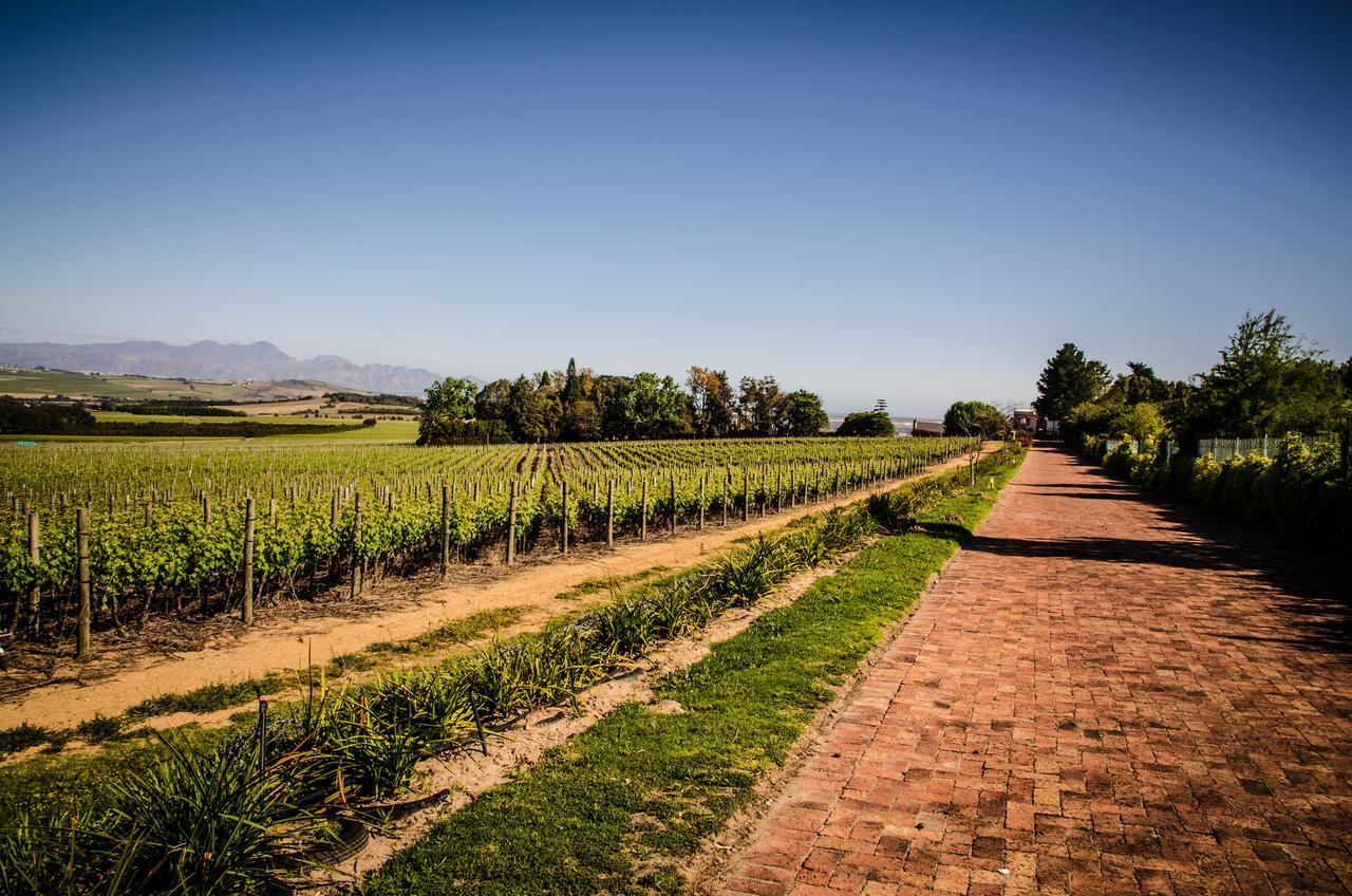Vila Lavinia Lifestyle Stellenbosch Exteriér fotografie